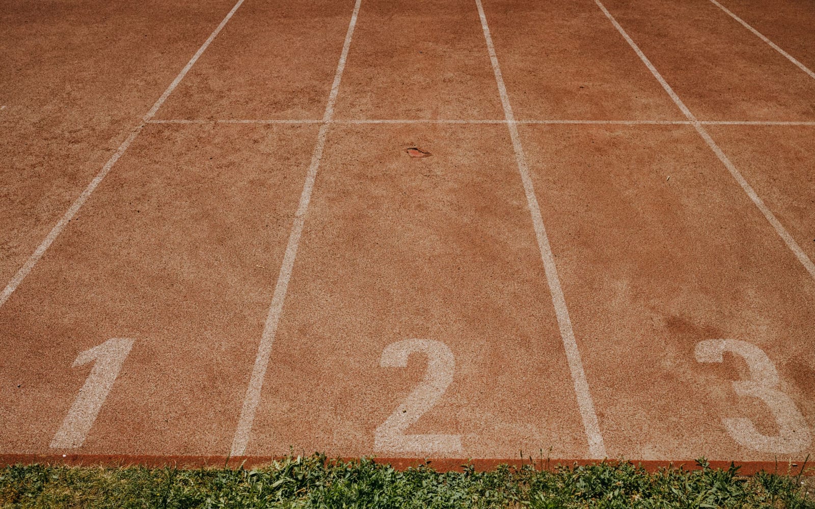 Numbered lanes marked on a running track surface