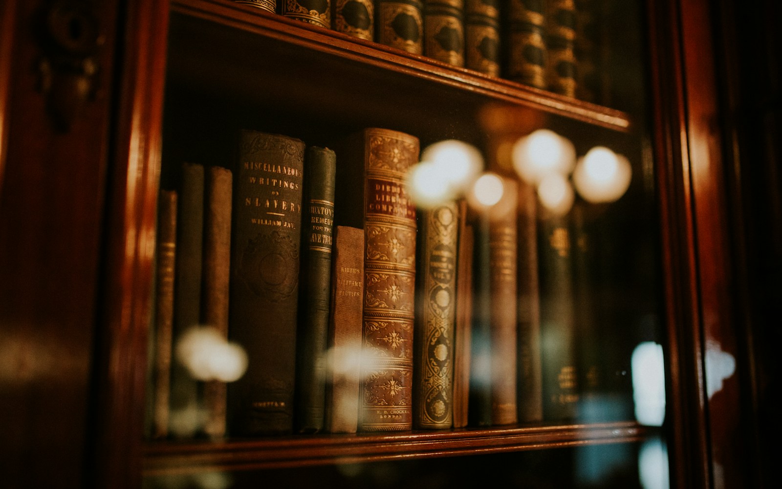 Rows of bound reference volumes on a library shelf