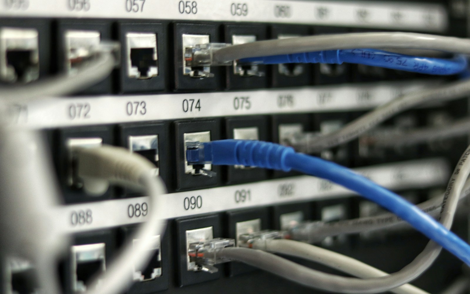 Network patch panel with cables routed between ports