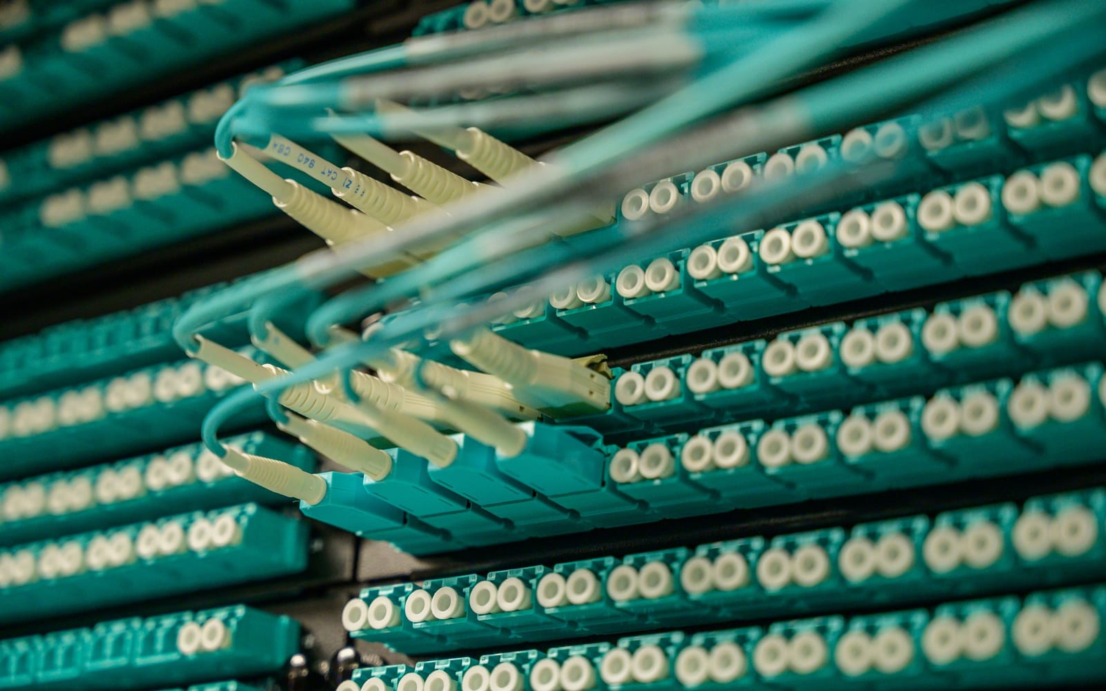 Server racks in an enterprise data centre.