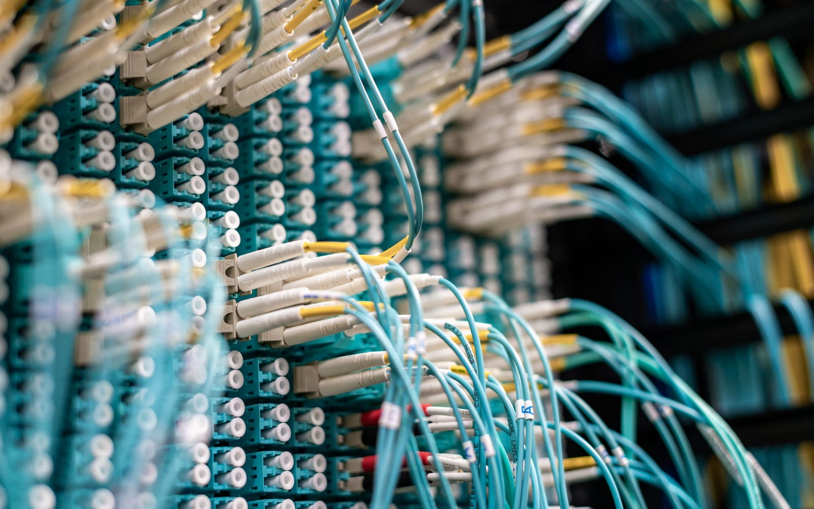 Server racks in an enterprise data centre.