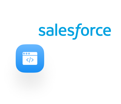 Dev Image Salesforce Development