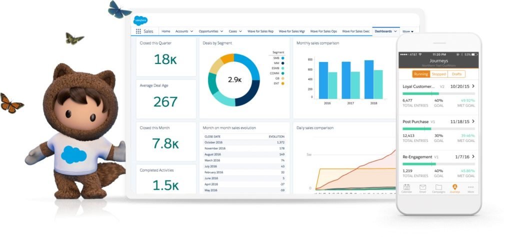 Salesforce Growth and Scalability