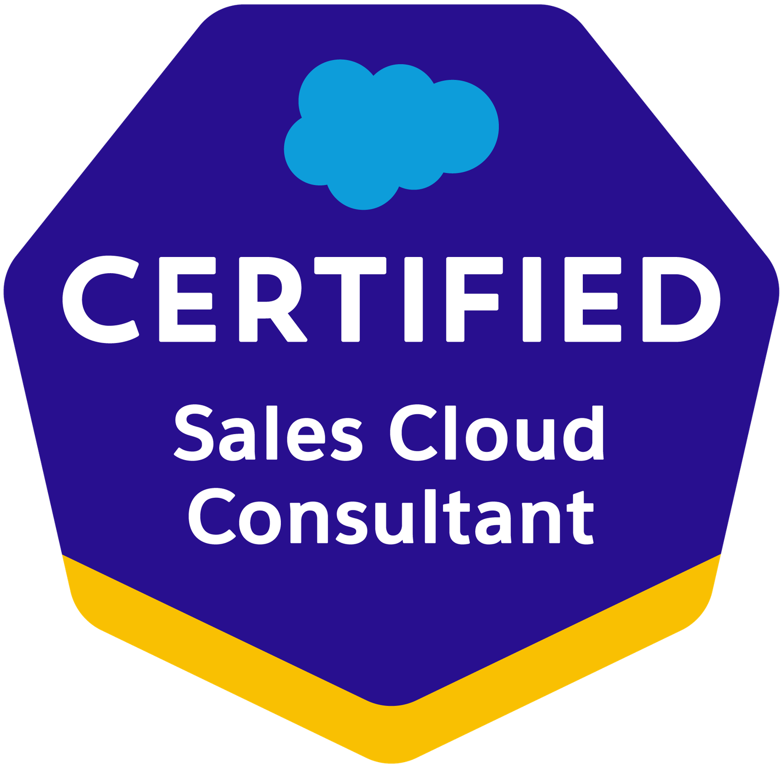 2021-03_Badge_SF-Certified_Sales-Cloud-Consultant_High-Res